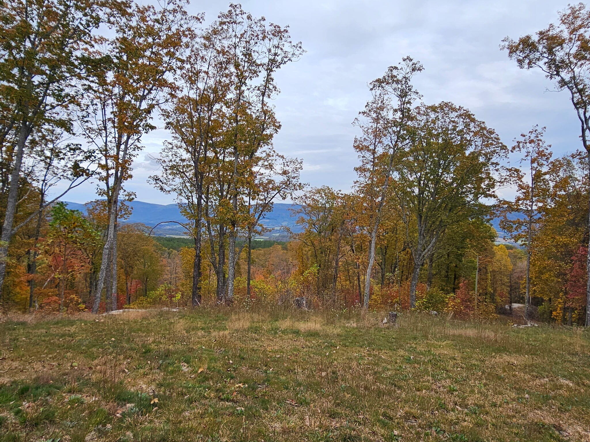 0 Overview Road Crossville TN 38572