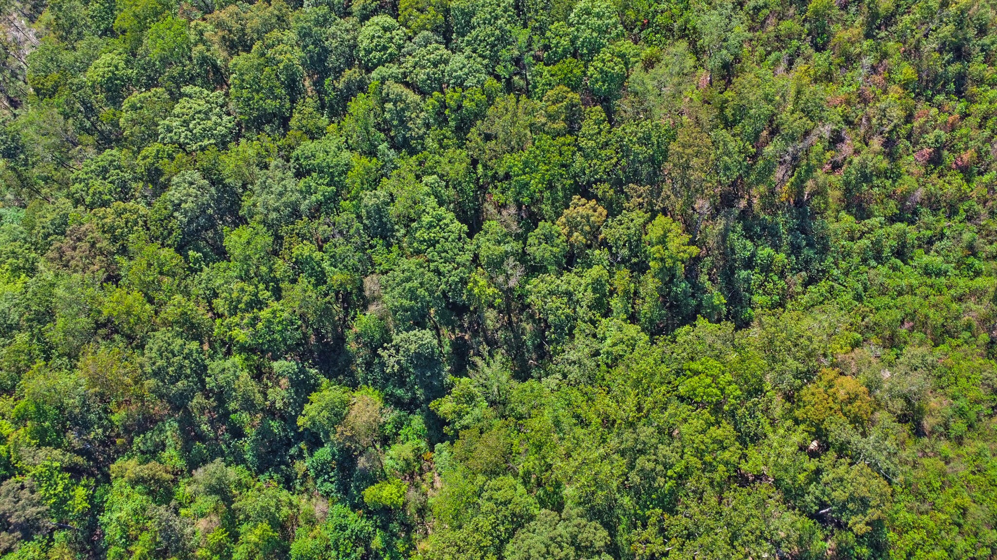 0 Overview Road Crossville TN 38572