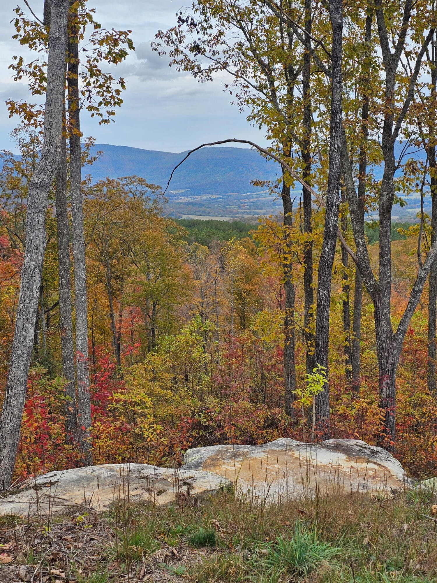 0 Overview Road Crossville TN 38572