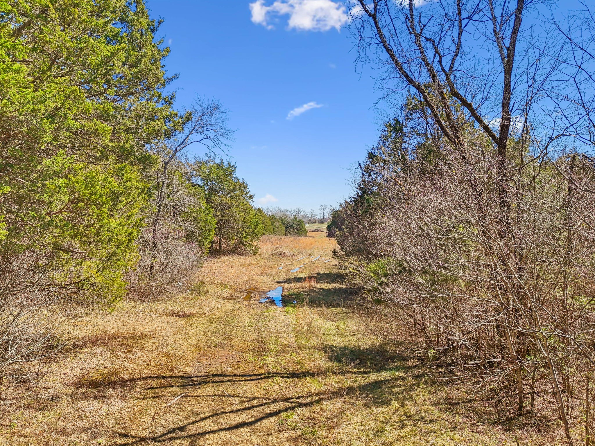 0 Ellington Pkwy, W Lewisburg TN 37091