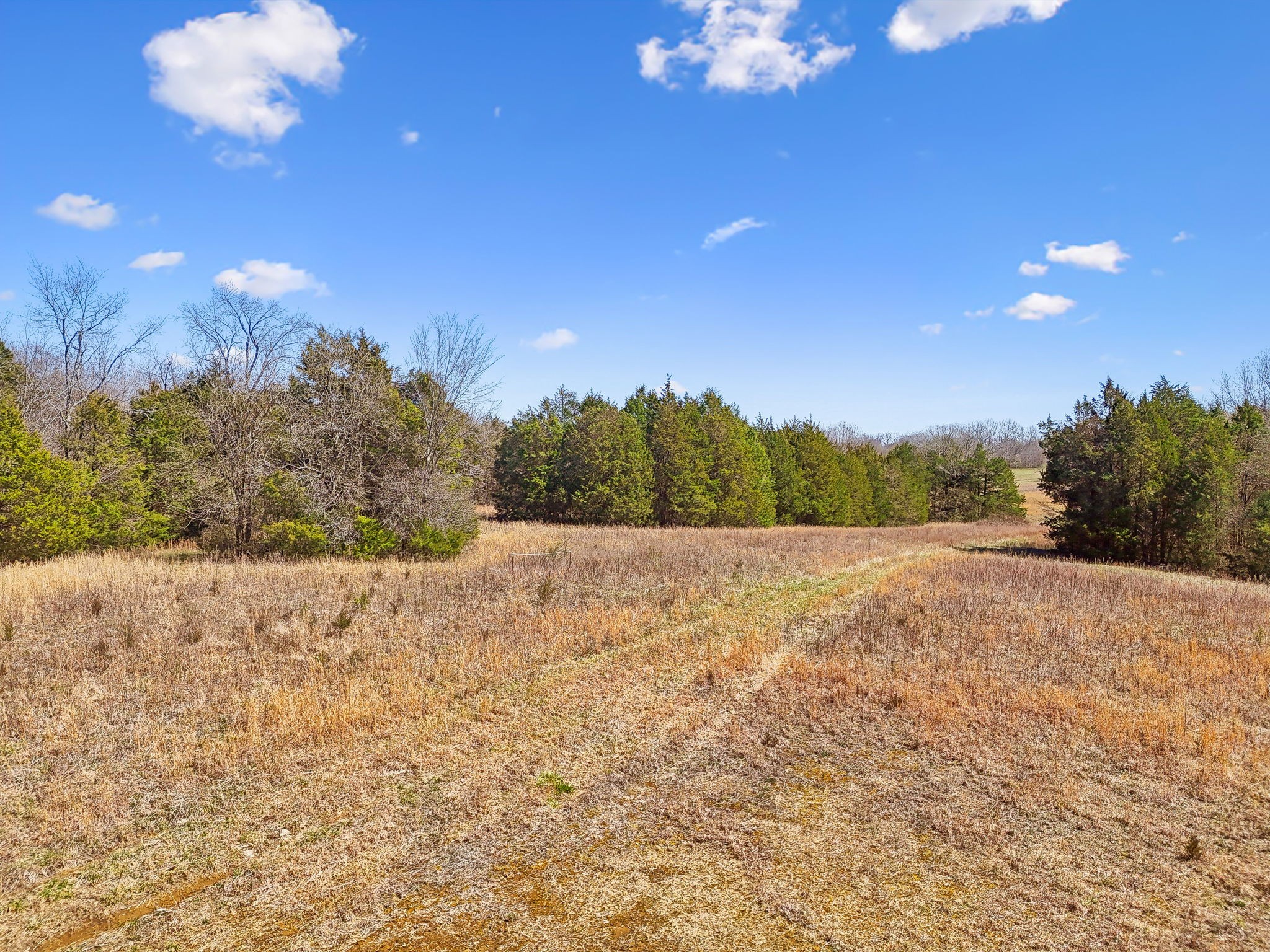 0 Ellington Pkwy, W Lewisburg TN 37091