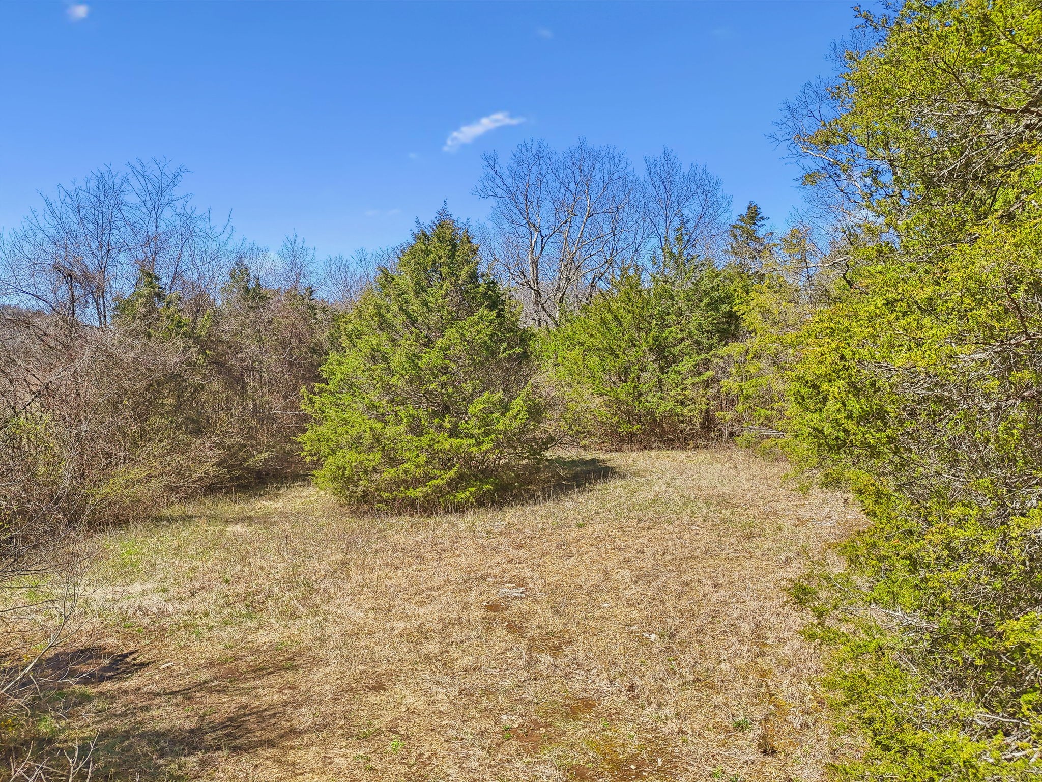 0 Ellington Pkwy, W Lewisburg TN 37091
