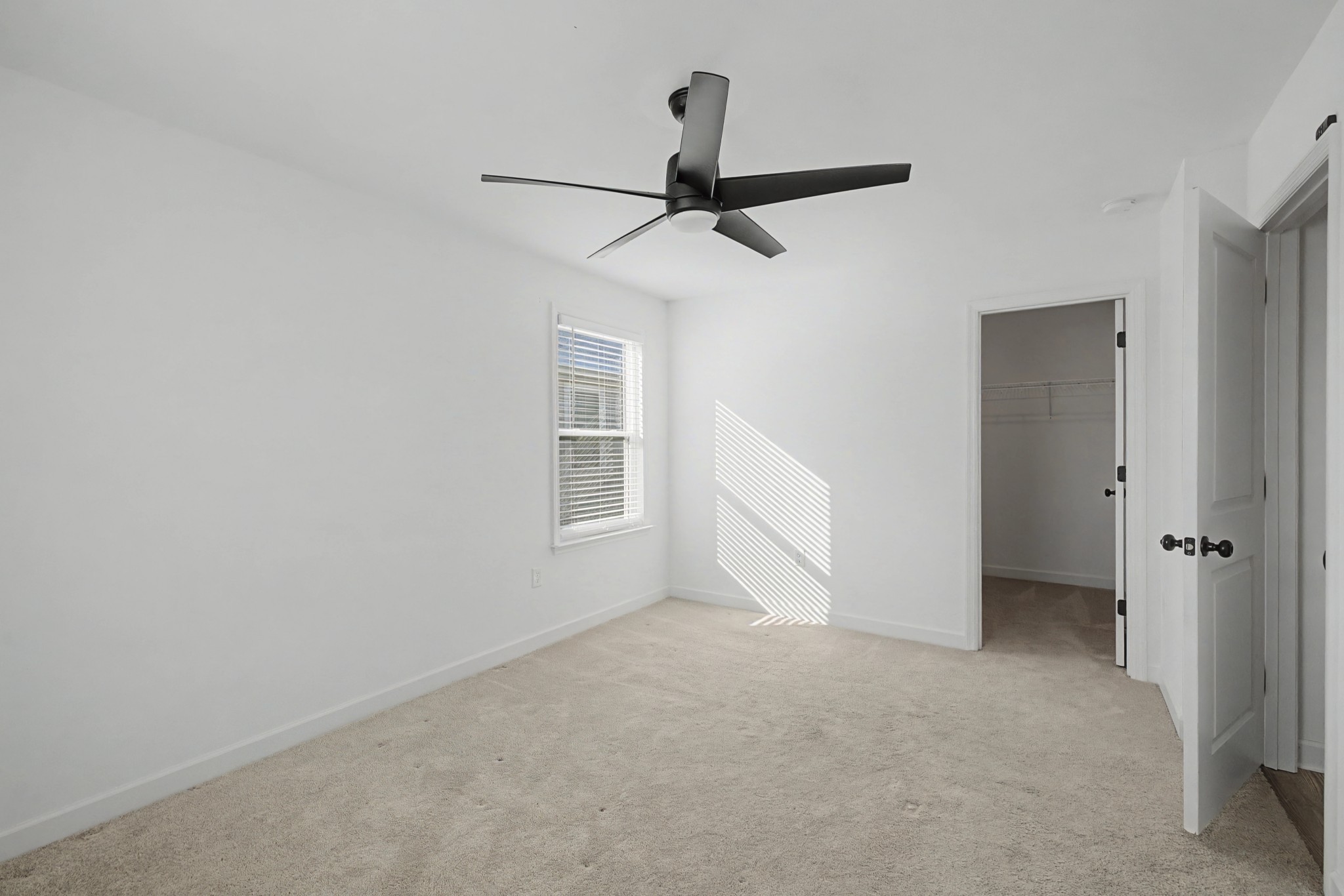 3523 Anthony Avenue Murfreesboro TN 37129