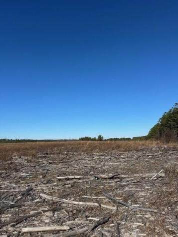 2 50th Avenue Gruetli Laager TN 37339