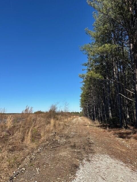 2 50th Avenue Gruetli Laager TN 37339