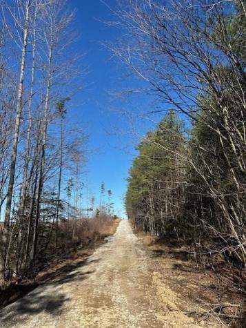 2 50th Avenue Gruetli Laager TN 37339