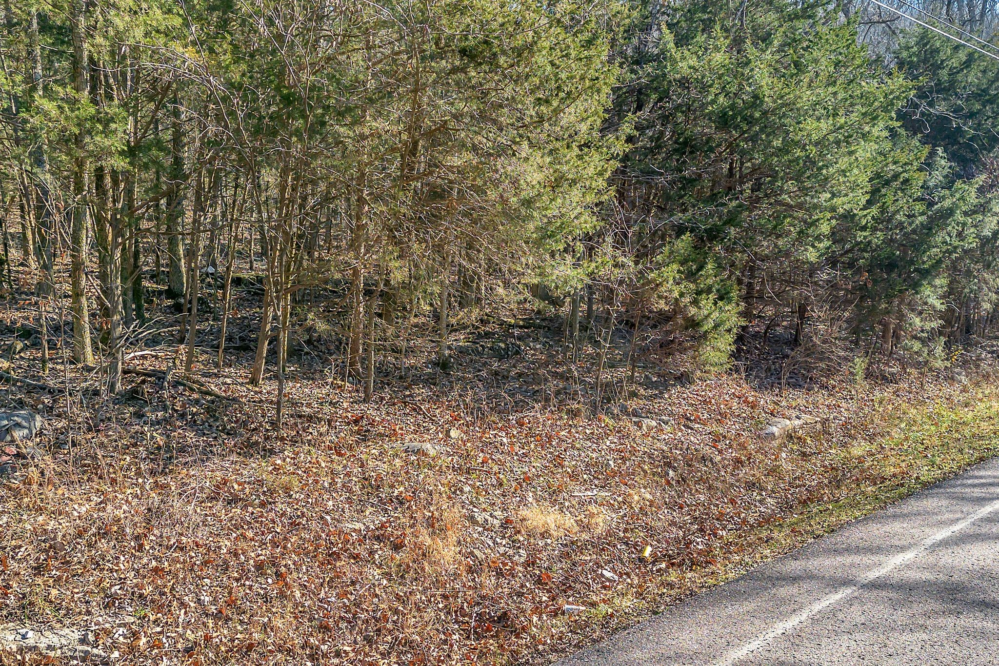 0 Sanford Road Nolensville TN 37135
