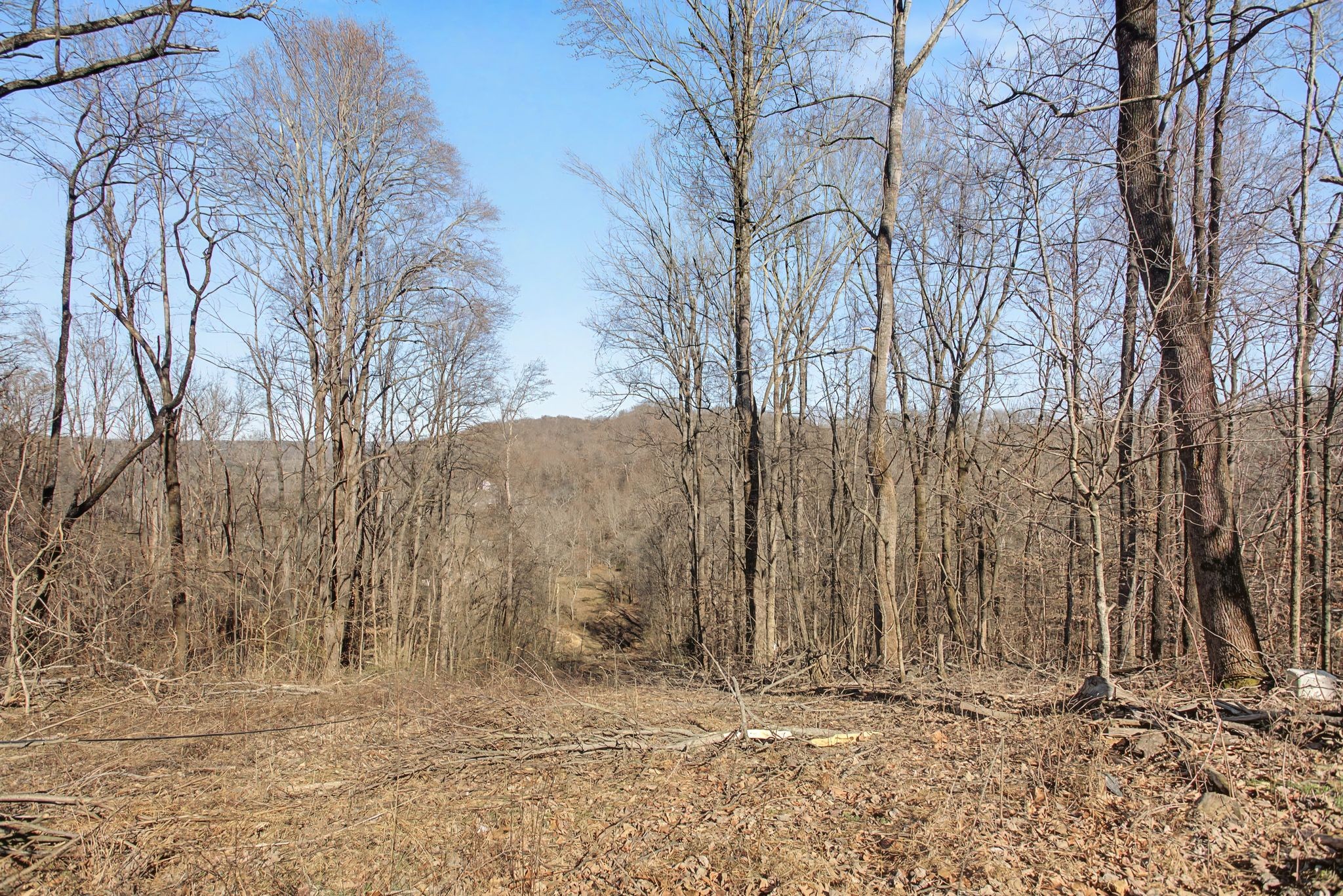 5076 Southpoint Ridge Road Hampshire TN 38461