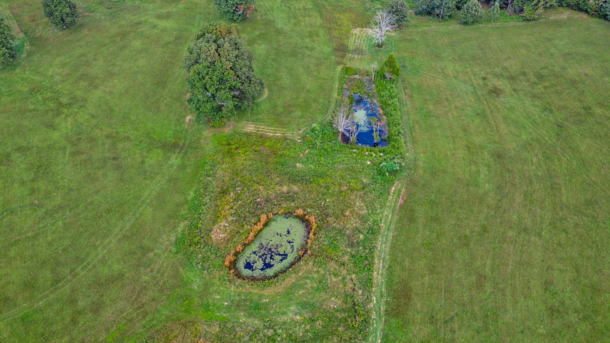 1386 Pigeon Ridge Road Crossville TN 38555