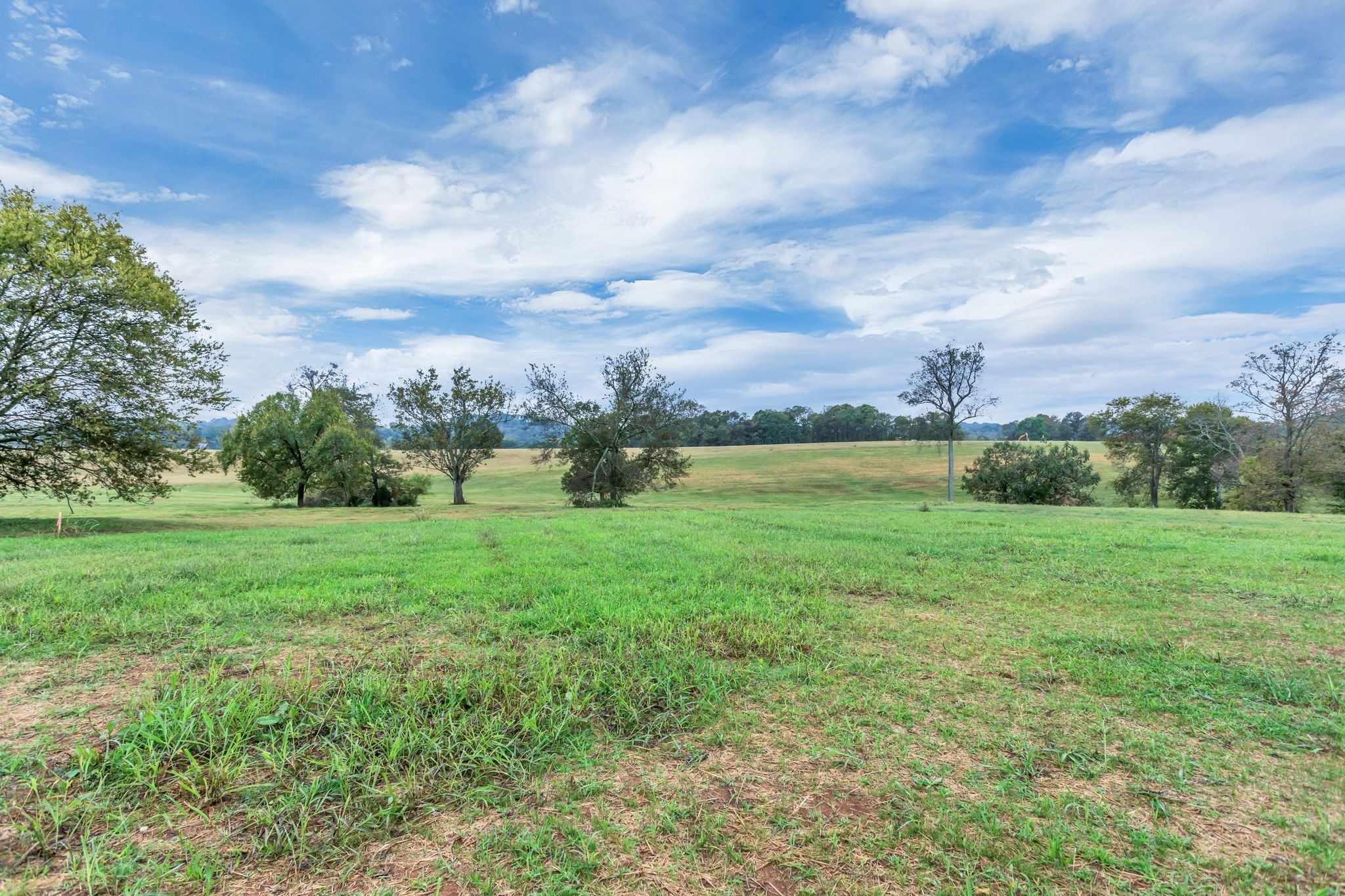 1629 John Sharp Road Spring Hill TN 37174