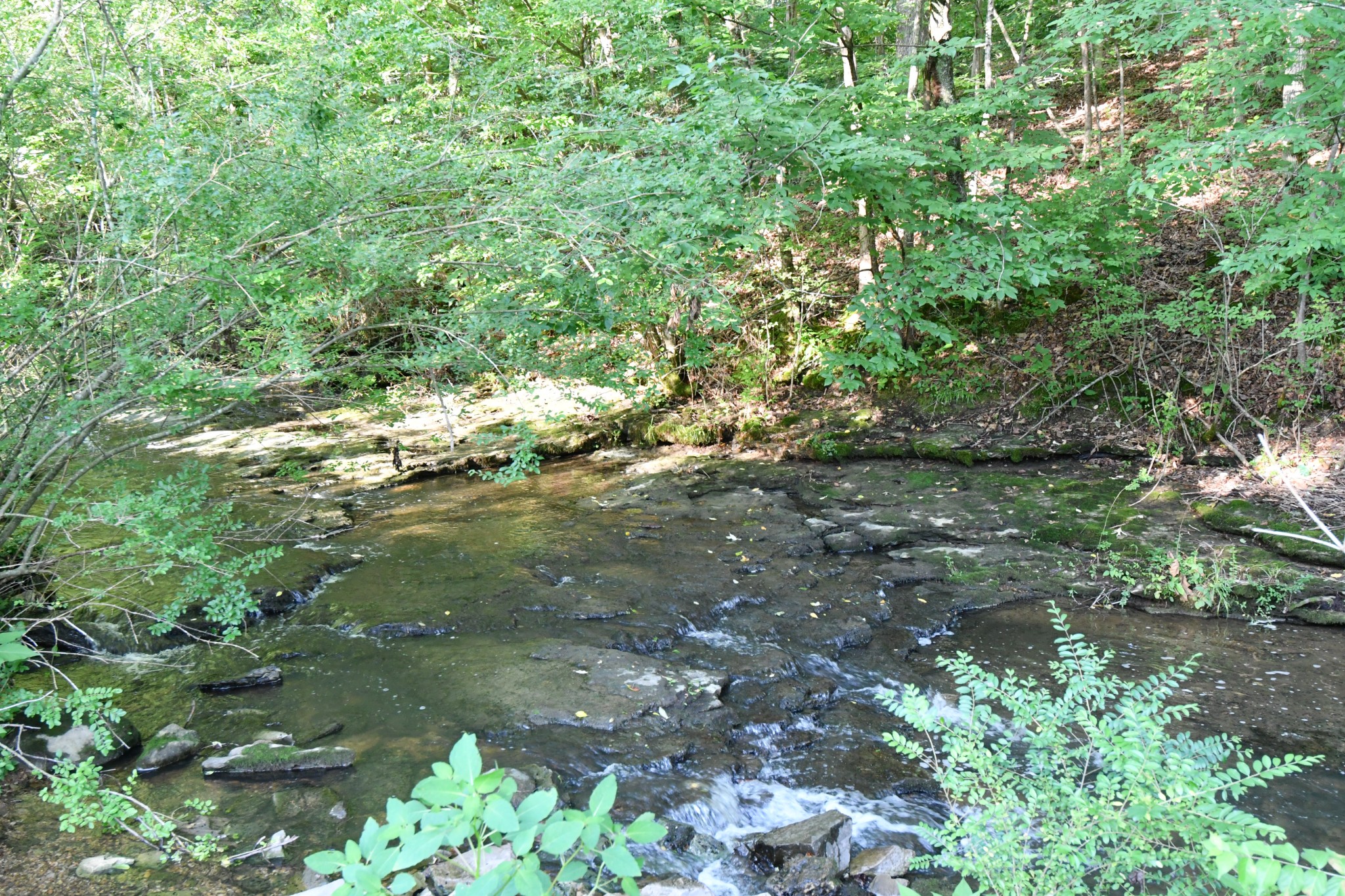 398 Elmore Town Road Baxter TN 38544