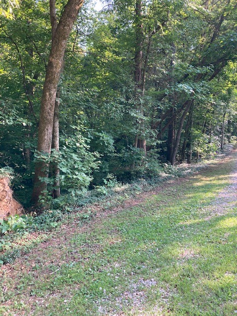 550 Hill Orchard Cem Lane Stewart TN 37175