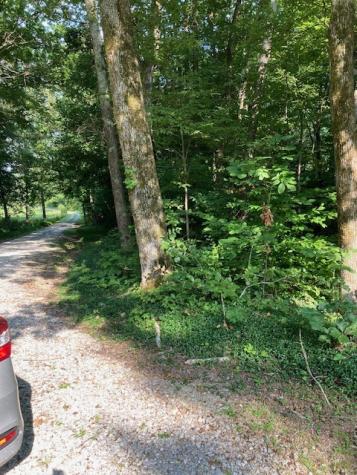 550 Hill Orchard Cem Lane Stewart TN 37175
