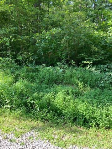 550 Hill Orchard Cem Lane Stewart TN 37175