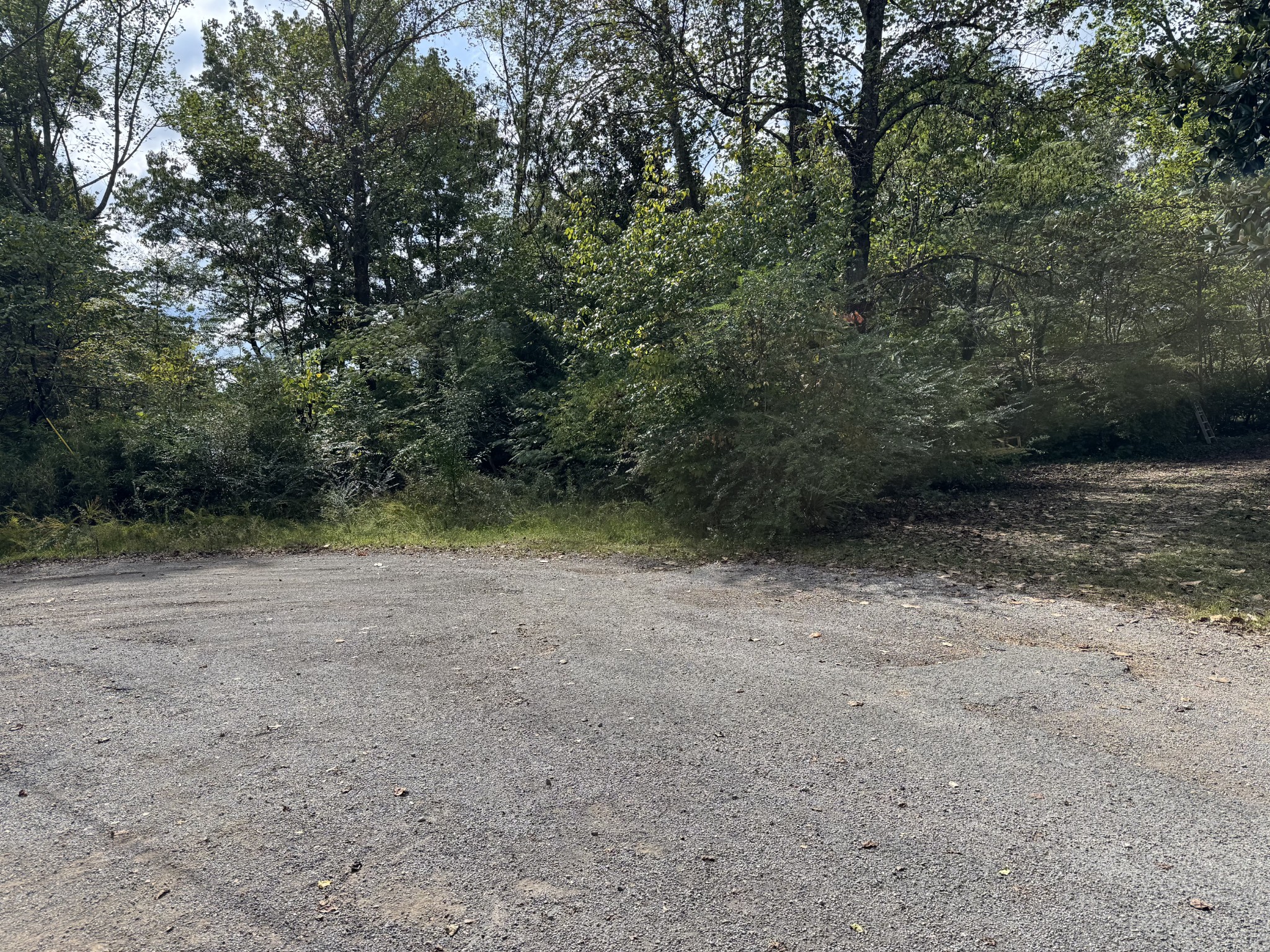 9456 Cedar Drive Bon Aqua TN 37025