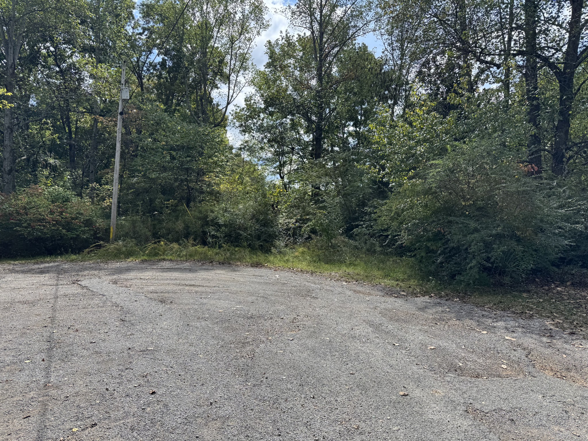 9456 Cedar Drive Bon Aqua TN 37025