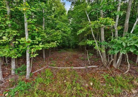 200 Whiskey Way Jasper TN 37347