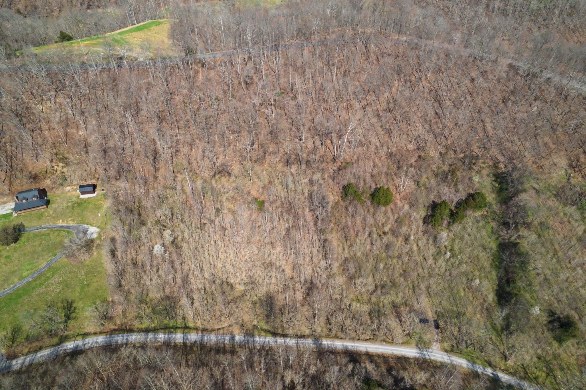 0 Buckeye Hollow Road Smithville TN 37166