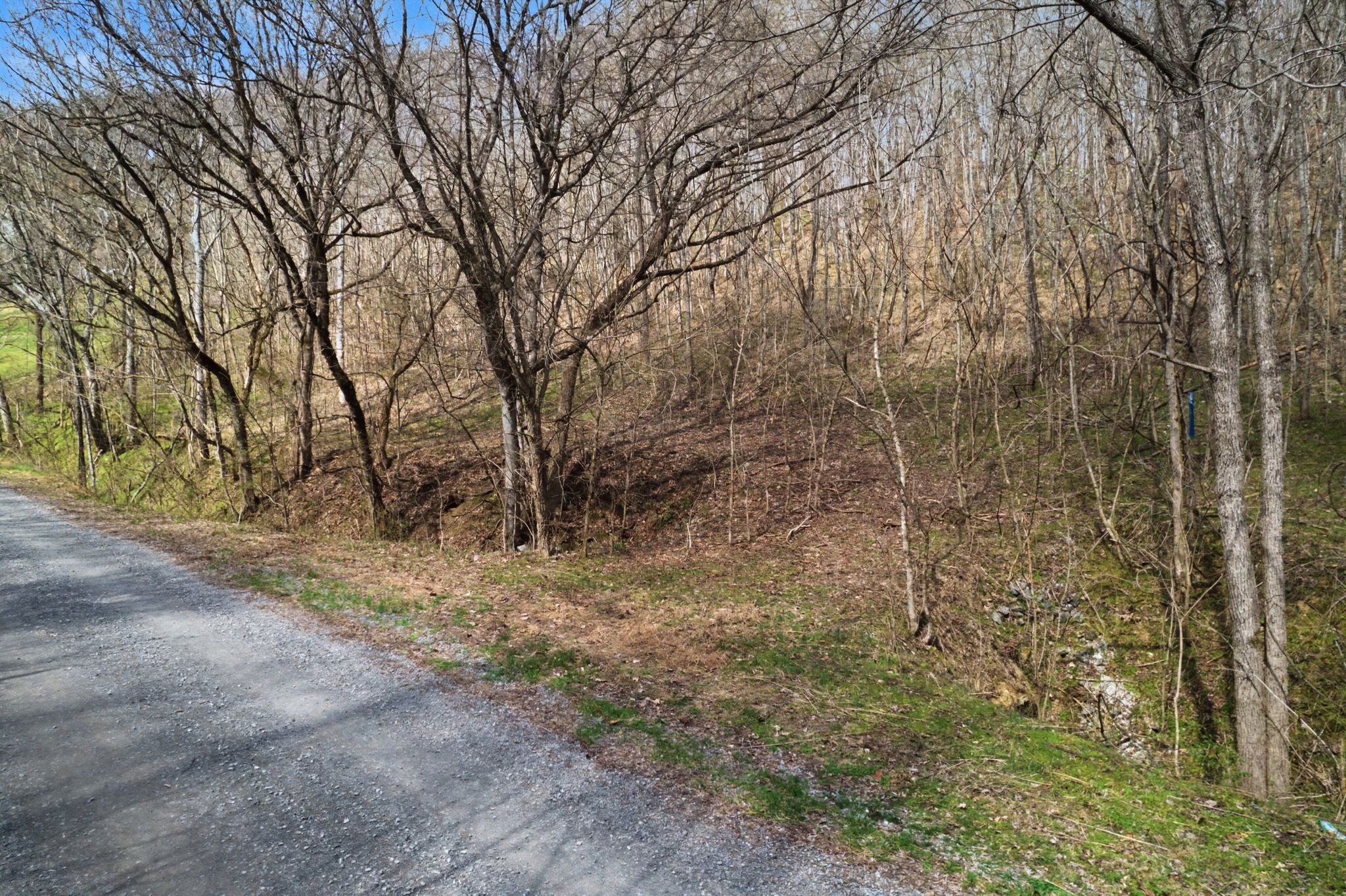 0 Buckeye Hollow Road Smithville TN 37166