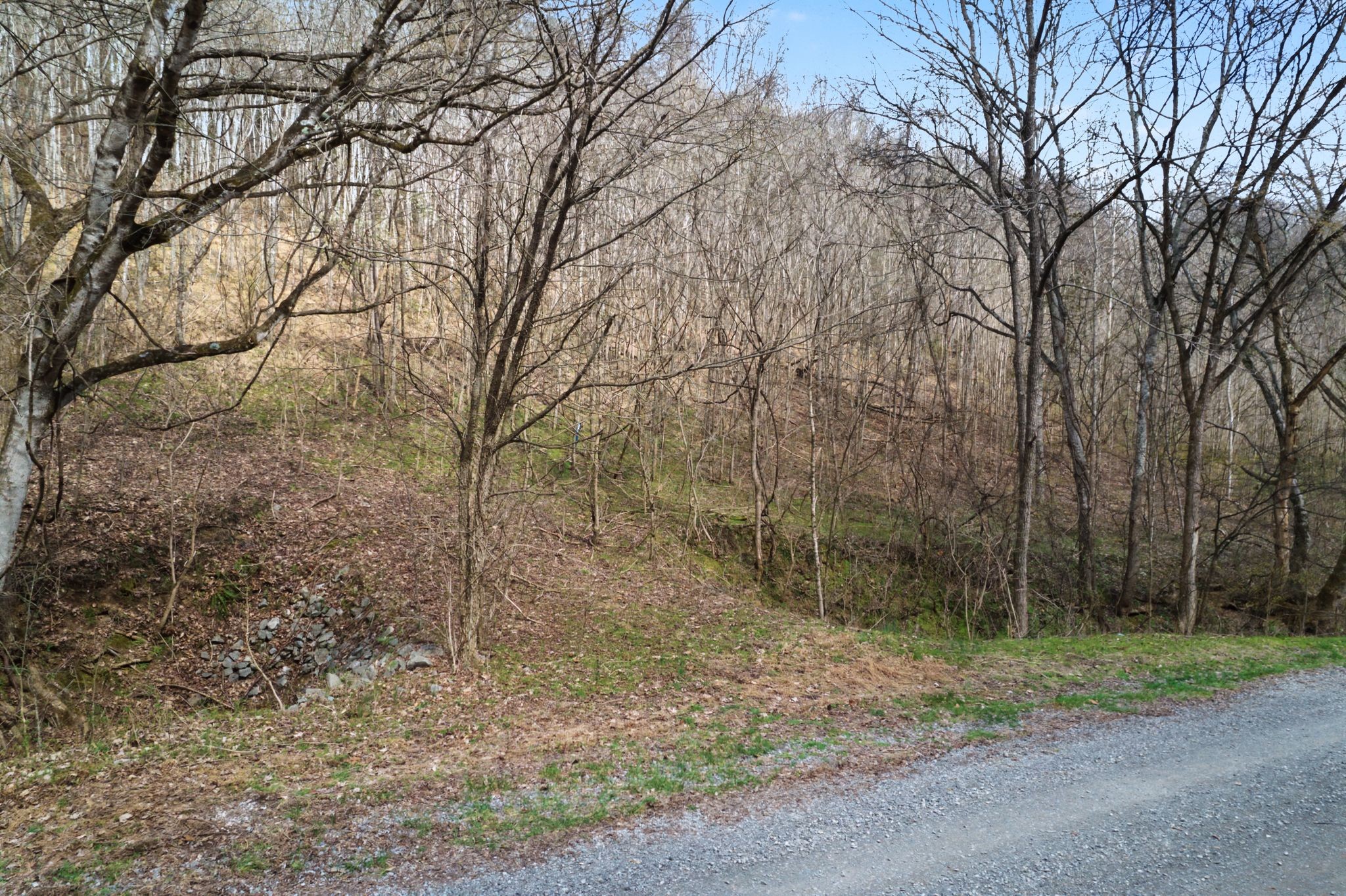 0 Buckeye Hollow Road Smithville TN 37166