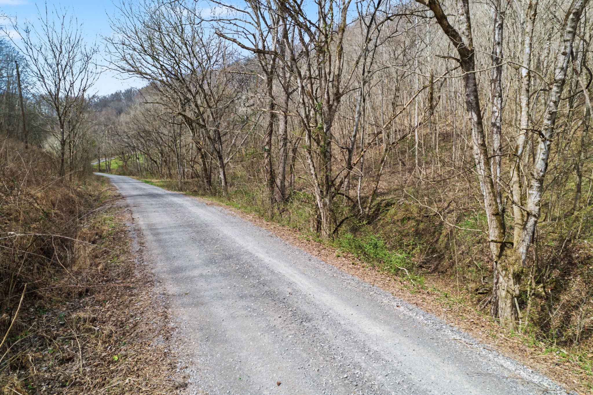 0 Buckeye Hollow Road Smithville TN 37166