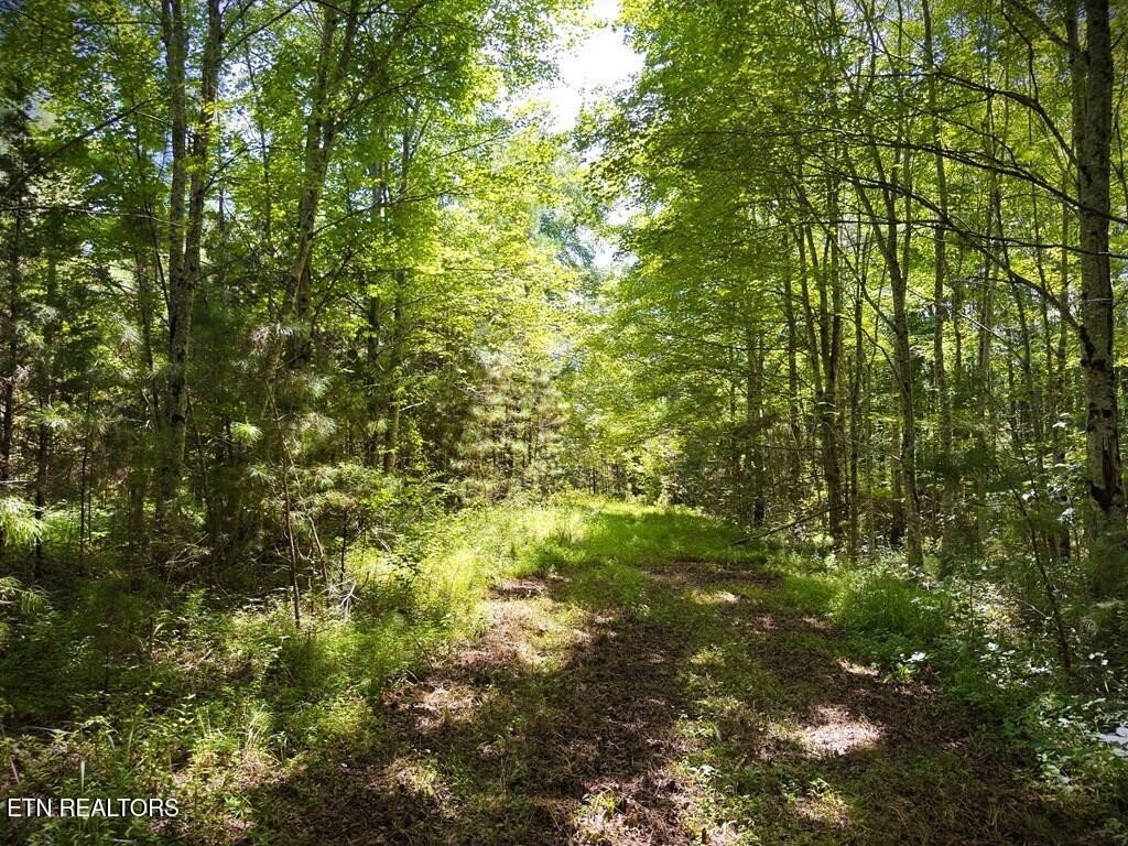 0 Marcrom Road Morrison TN 37357
