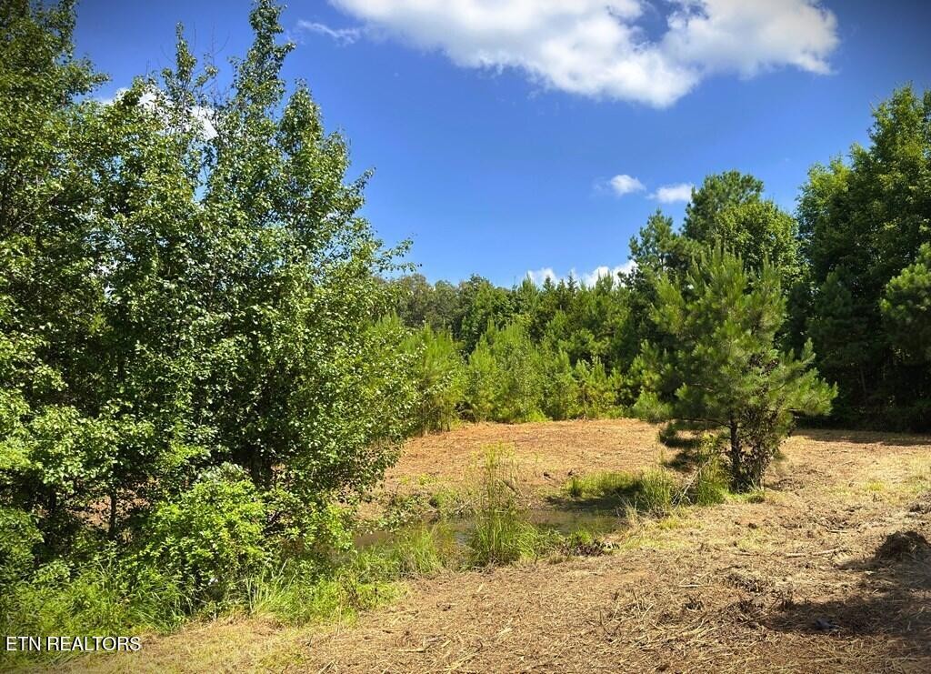0 Marcrom Road Morrison TN 37357