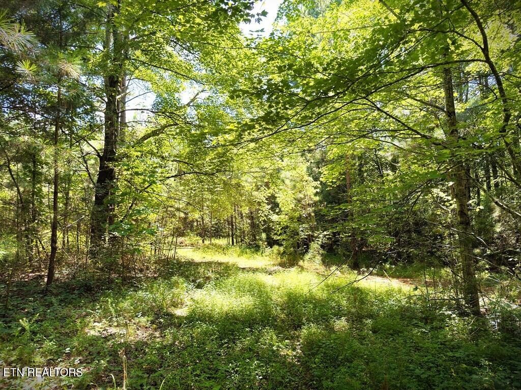 0 Marcrom Road Morrison TN 37357