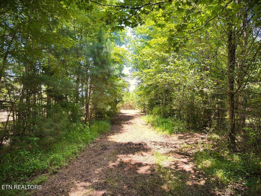 0 Marcrom Road Morrison TN 37357