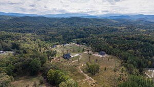 521 Horns Creek Road Old Fort TN 37362