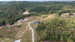 521 Horns Creek Road Old Fort TN 37362