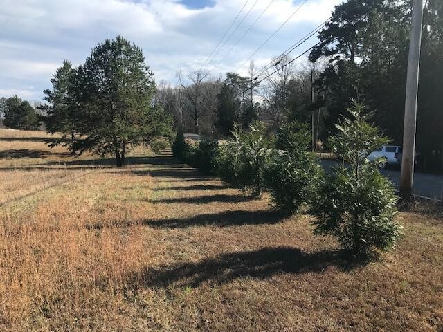 16697 N Star Circle Sale Creek TN 37373