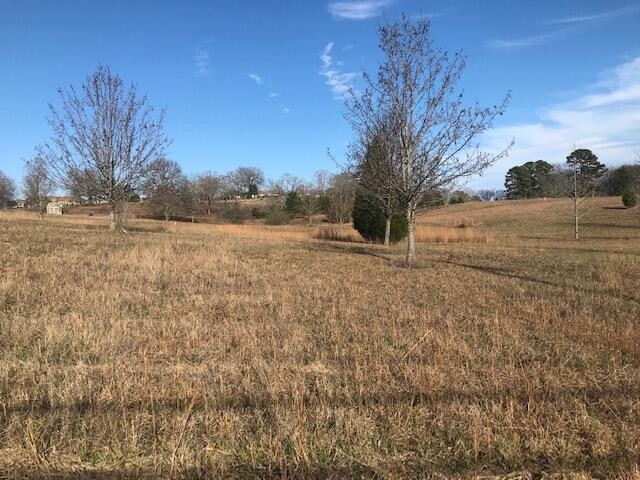 16697 N Star Circle Sale Creek TN 37373