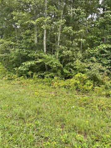 0 Hunters Trail Way Altamont TN 37301