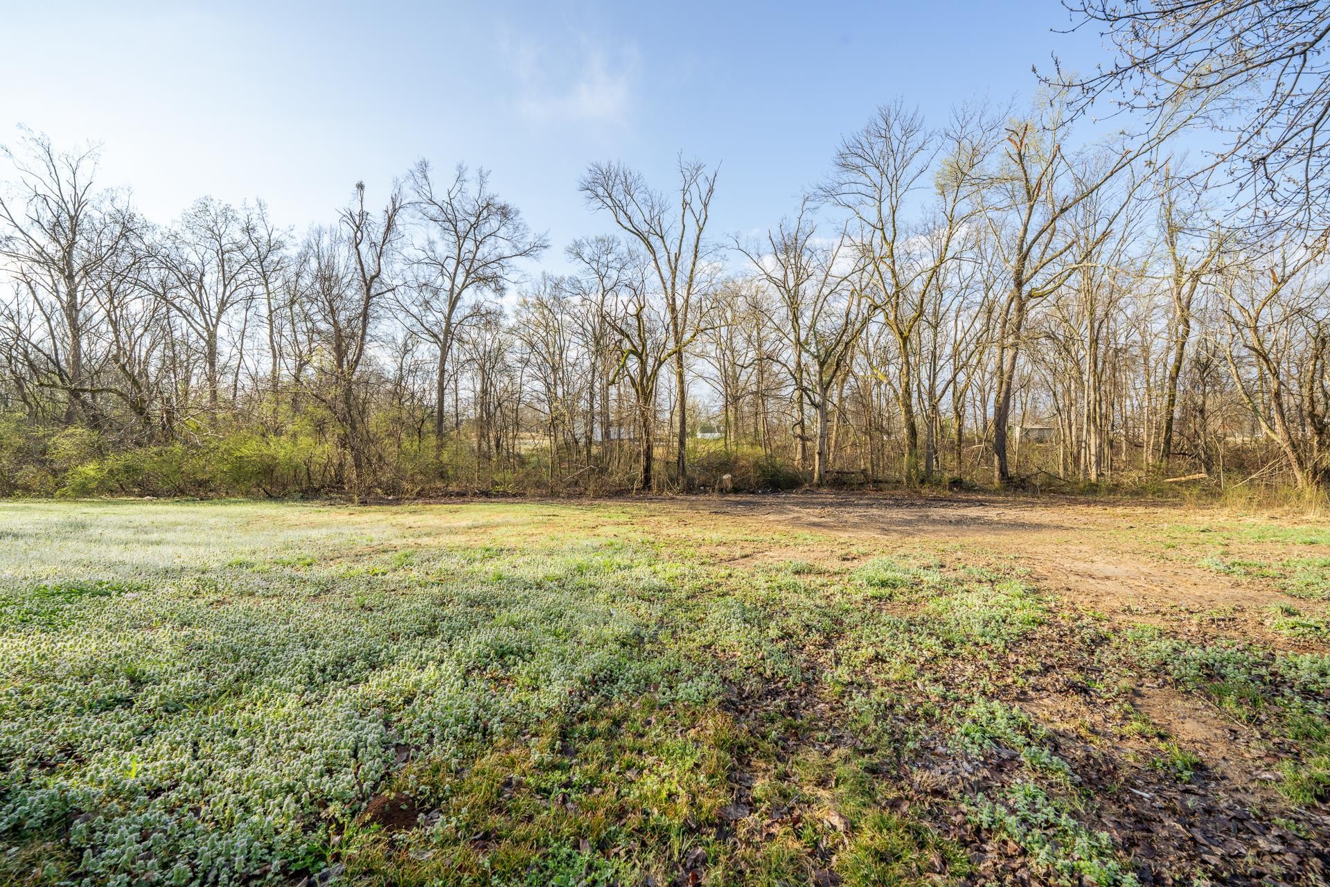 435 Cedar Cove Savannah TN 38372