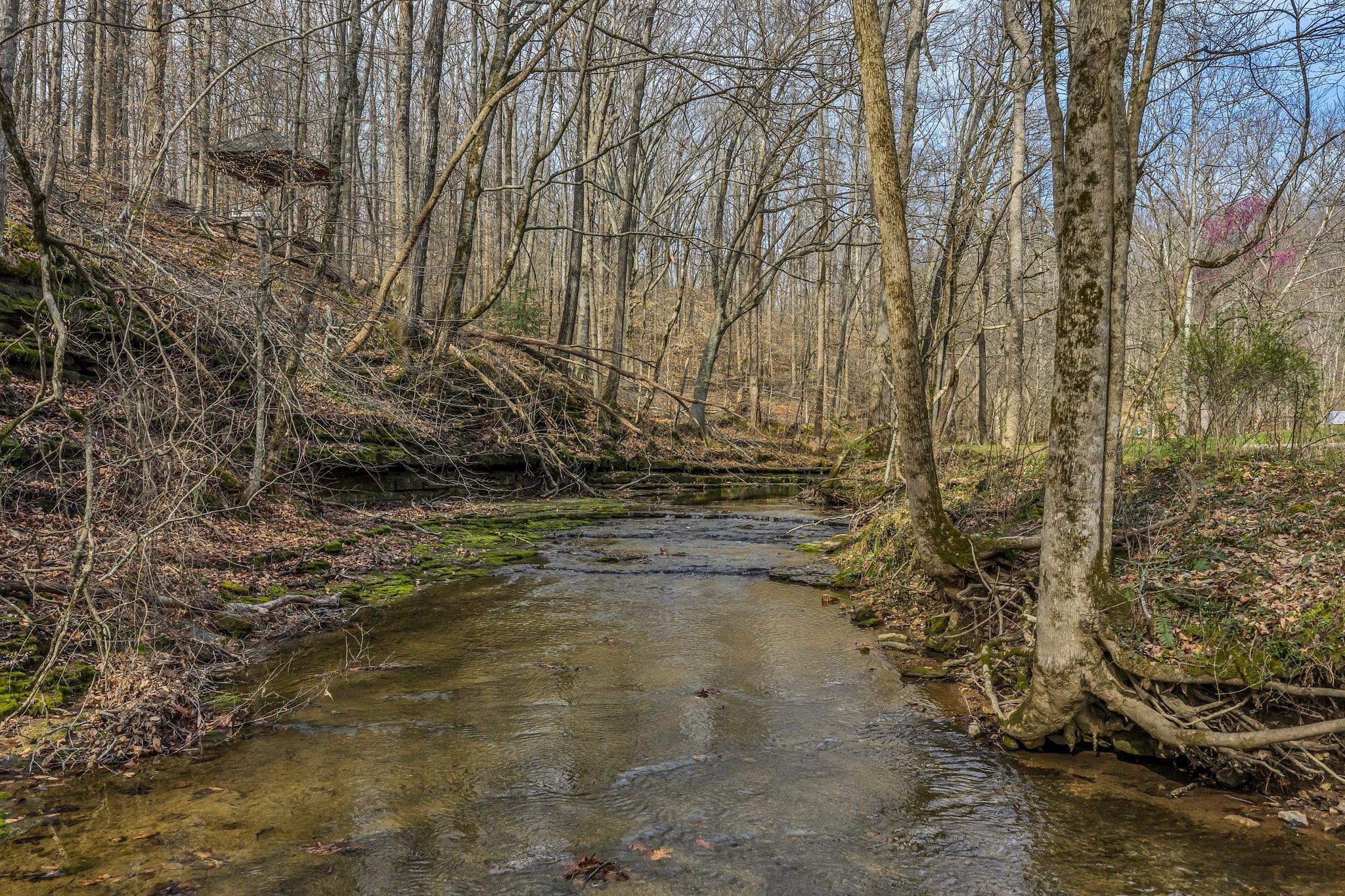 7575 King Road Fairview TN 37062