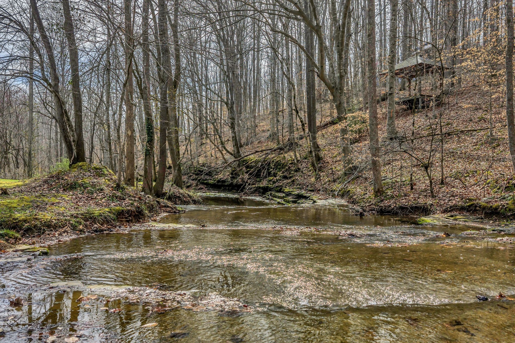 7575 King Road Fairview TN 37062