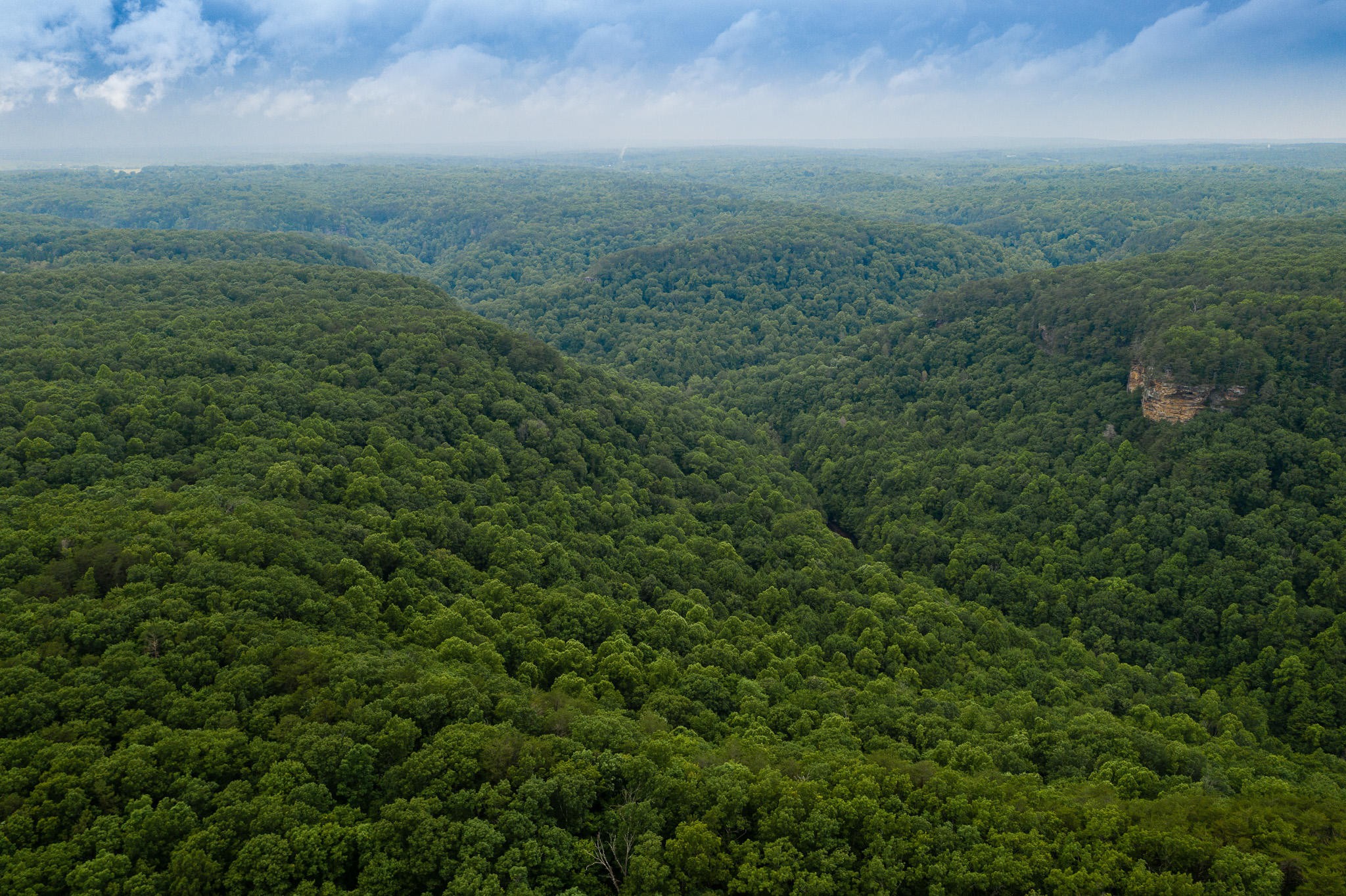 916 N Rim Drive Coalmont TN 37313