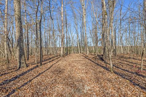 916 N Rim Drive Coalmont TN 37313