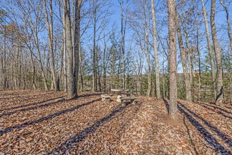 916 N Rim Drive Coalmont TN 37313