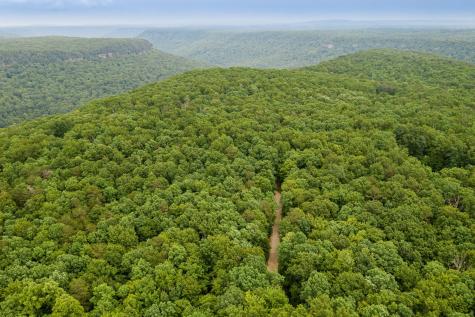 916 N Rim Drive Coalmont TN 37313