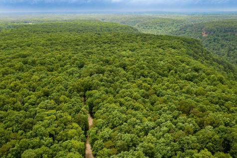 916 N Rim Drive Coalmont TN 37313