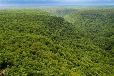 916 N Rim Drive Coalmont TN 37313