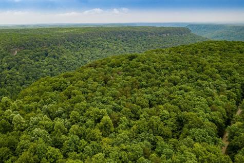 916 N Rim Drive Coalmont TN 37313