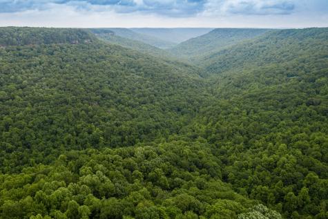 916 N Rim Drive Coalmont TN 37313