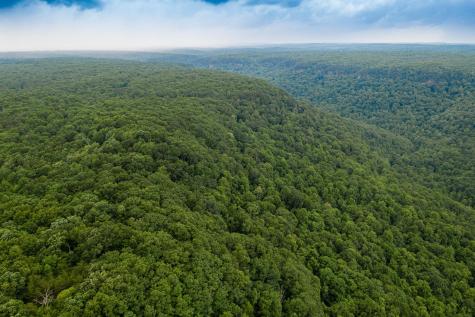 916 N Rim Drive Coalmont TN 37313