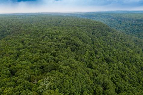 916 N Rim Drive Coalmont TN 37313