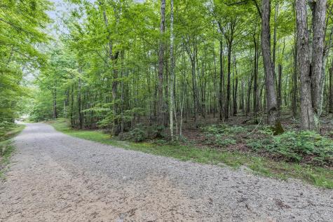 916 N Rim Drive Coalmont TN 37313