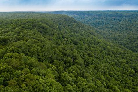 916 N Rim Drive Coalmont TN 37313