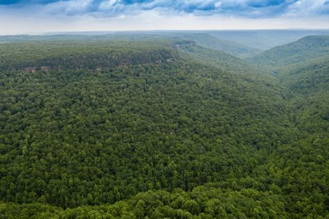 916 N Rim Drive Coalmont TN 37313